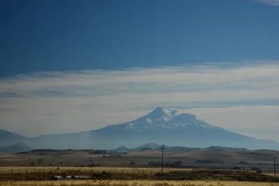 DSC_3126 (Large).JPG